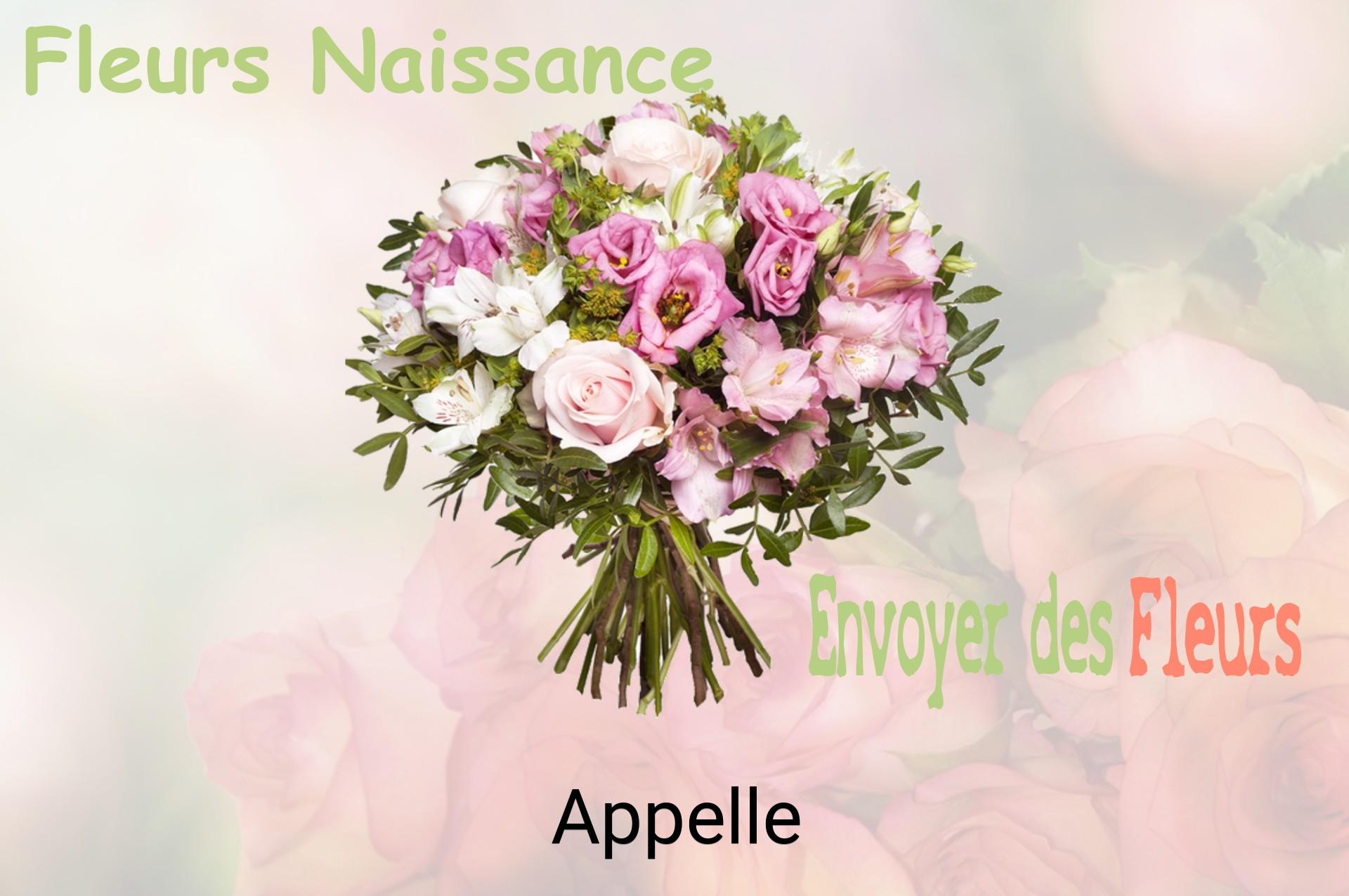 Bouquet de fleurs de naissance livré à Appelle