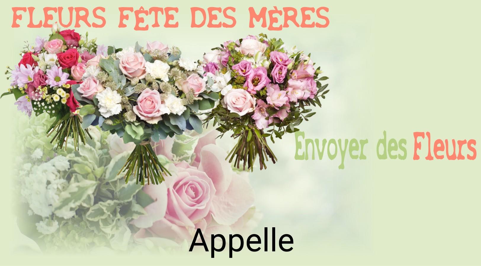 Bouquet de Fête des Mères livré à Appelle